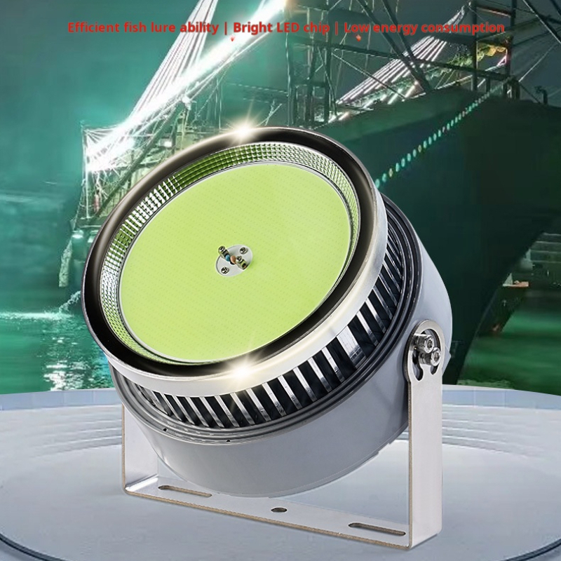 Outdoor Lighting Wall Mount - 1000 Watt Led Fish Light For