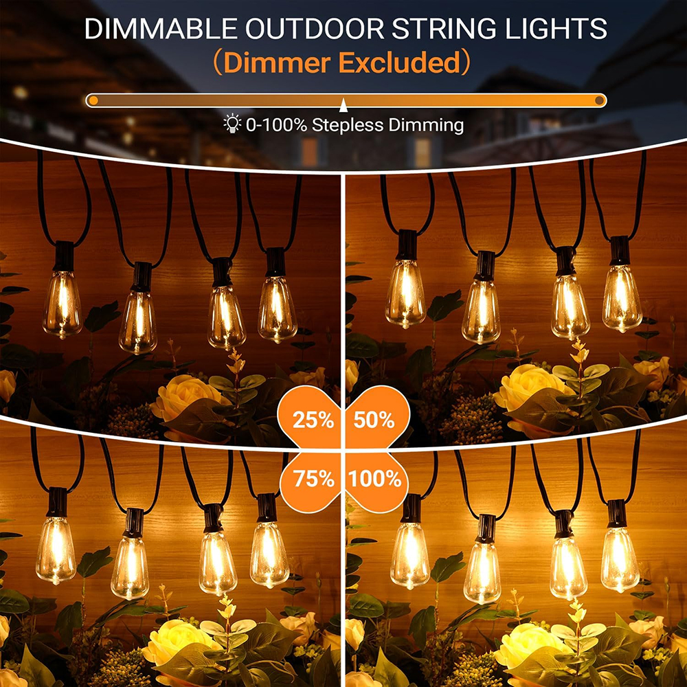 ST38 Festoon 220V LED Globe St - Outdoor Lighting On Fence avaliação e preço