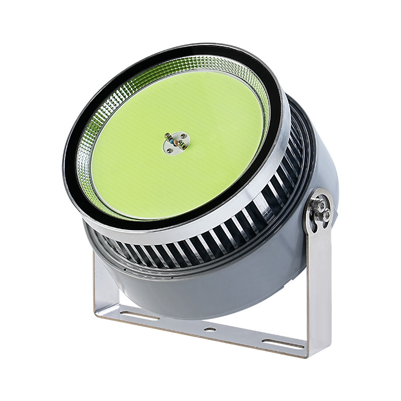 1000 Watt Led Fish Light For O - Outdoor Lighting Wall Mount avaliação e preço