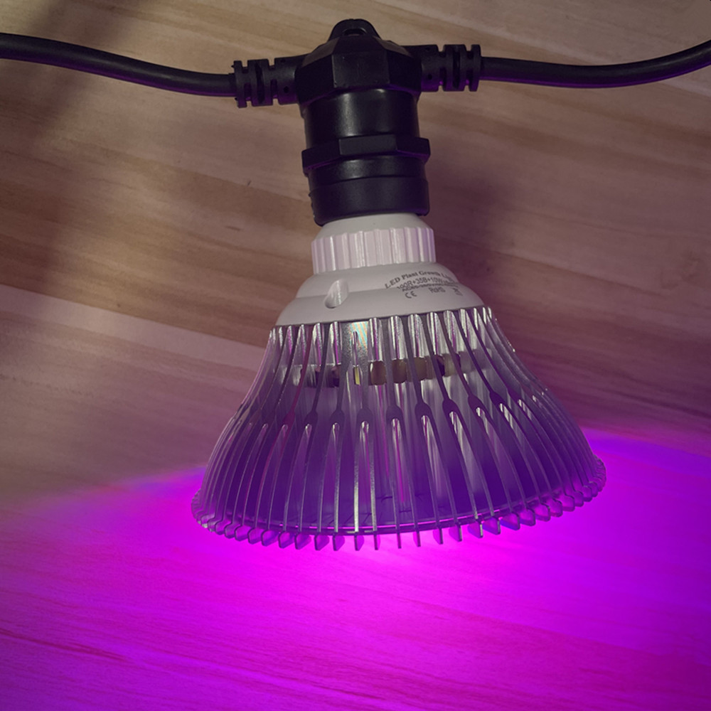 10M Cable LED String Commercia - Outdoor Lighting Diy avaliação e preço