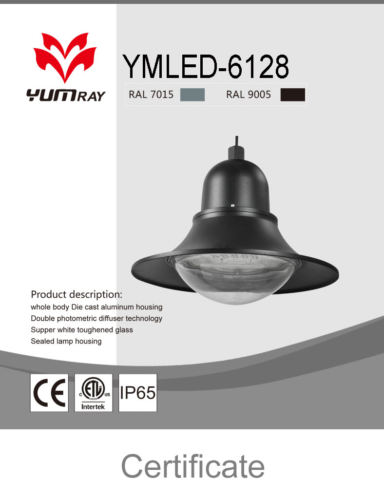 Made in China IP65 High Qualit - Quality Outdoor Lighting Fixtures avaliação e preço